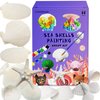 COUCHINLARY DIY Natural Sea Shells Painting Kit for Kids Children Starfish Glow in The Dark Arts&Crafts Kit Gifts Creative Art Toys for Girls Boys Age 4+,5, 6, 7, 8, 9, 10, 11, 12 Year Old