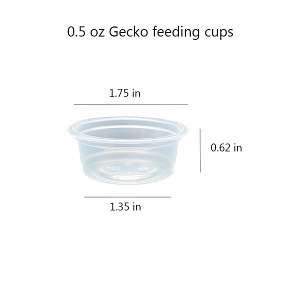 QIHYCUF 100 pcs Small Gecko Food and Water Cups Plastic Reptile Feeding Bowls Ledge Accessories for Crested Gecko Lizards Small Pets, 0.5 oz