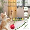 Abnaok 2-in-1 Cat Toy, Cat Interactive Toys for Indoor Cats Kitten Tumbler Balls Kitty Feather Toy, Cat-Digging Hole Toy Suitable as a Birthday Gift