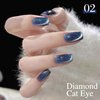 Double Rhythm Cat Eye Gel Nail Polish Set of 6 Colors Shimmer Glitter with Magnet 9D Holographic Reflective Magnetic Nail Polish Kit (Red Black Brown Purple Blue Green-Kit 26)
