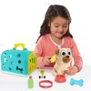 Puppy Dog Pals Groom and Go Pet Carrier with Accessories, 8-pieces, Rolly, Pretend Play, Kids Toys for Ages 3 Up by Just Play