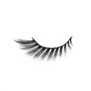 Jayten Luxury False Eyelashes (Cat Eye), Black