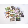 Oospecka Lunch Box Note Cards Motivational and Inspirational Funny Animal Note Cards for kids