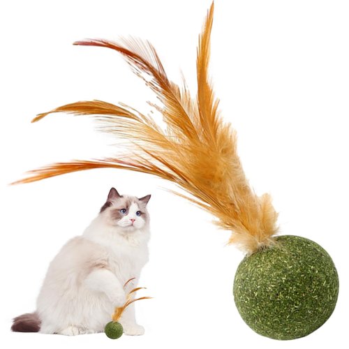 Cat Toys Catnip - Edible Kitten Catnip Feather Ball | Cat Toys for Cats Lick, Safe Healthy Kitten Chew Toys, Teeth Cleaning Cat Toys, Cat Treats