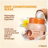 ETNIKER Deep Conditioning Mask for Afro-Curly, Wavy hair | Detangle, Soften & Moisturize | Coconut Oil, Shea Butter, Monoi Oil | Free from Salt, Sulfates, Parabens by Lmar | 10.5oz"