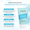 Neutriherbs Salicylic Acid Clay Mask, Hyaluronic Acid Clay Mud Mask, Purify Skin, Remove Dead Skin And Unclogged Pores, Face Mask For Oily & Acne Prone Skin - 3.5 Oz