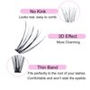 Cluster Lashes 240pcs 20D DIY Eyelash Extension D Curl Long Individual Lashes Mixed Tray Faux Mink Lash Clusters Extensions 0.07 0.10 Black (20D-0.07D-9-16mm)