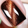 Vishine 9D Cat Eye Brown Gel Nail Polish with Magnet Galaxy Cateye Chameleon Nail Gel Polish Manicure Soak Off UV Gel DIY Salon Home 16ml