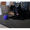 Jolly Pets Jolly Egg Plastic Dog Chew Toy 8 inch Purple
