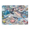 Galison Gray Malin Coney Island – 1000 Piece Puzzle with Eye Catching Aerial Photography of Iconic NYC Beach from A La Plage Artwork