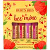 Burt's Bees Bee Mine Lip Balm Gift Set, Strawberry, Dragonfruit Lemon, Pomegranate and Watermelon, 4 Personalized Lip Balms, Pack May Vary