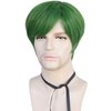 HUNIGIR Mens Green Wig Short Straight Wig Green Boys Anime Wig Heat Resistant Synthetic Halloween Cosplay Wig (Green)