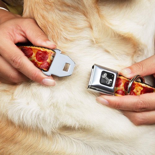 Dog Collar Seatbelt Buckle Pepperoni Pizza Crust Vivid 9 to 15 Inches 1.0 Inch Wide
