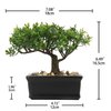 Artificial Bonsai Tree Juniper Faux Plants Indoor Small Fake Plants Decor with Ceramic Pots for Home Table Office Desk Bathroom Shelf Bedroom Living Room Farmhouse Decorations