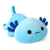 Onsoyours Cute Axolotl Plushie, Soft Stuffed Animal Salamander Plush Pillow, Kawaii Plush Toy for Kids (Blue Axolotl A, 13")
