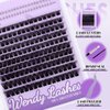 WENDY Lashes Clusters DIY Eyelash Extension Kit - D Curl C3 & Bottom Lashes with Bond and Seal Tweezers Cluster Eyelash Extensions Wispy Soft Individual Lashes, Suitable for Beginners, 10-16 MM