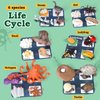 Life Cycle Toys for Kids - Life Science Education Kits: Ladybug, Ants, Goose, Land Turtle, Snail, Octopus - 24 Pieces Animal Models STEM Learning Toys for 3-10 Year Old