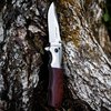 Rolsch - Wood handled Pocket Knife - Spring Assisted Folding Knife – Stainless Steel Blade and Rosewood Handle with Pocket Clip - Great Folding Knife for Hunting, Camping, Survival, Tactical, EDC
