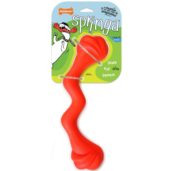 Nylabone Springa Interactive Dog Toy – Lightweight Flexible Floatable Dog Tug Toy for Creative Play & Dog Exercise