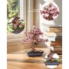 ROBOTIME Sakura Bonsai 3D Puzzles Wooden Artificial Cherry Blossom Tree DIY Model Building Kit for Home Decoration and Office Art Creative Gifts