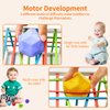 AiTuiTui Montessori Baby Toys for 1 Year Old Boy Girl Gifts, Shape Sorter Baby Toys 6 12 18 Months Early Learning Sensory Bin with 3 Soft Textured Balls, Toddlers Toy for Age 1 2 3 Autistic Children