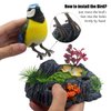 Tipmant Cute Electronic Birds Toys Pets Simulation Realistic Move Chirp Electric Office Home Desk Decor Decoration Kids Birthday Gifts (Blue & Yellow)
