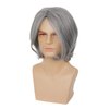 RicHyun Mens Grey Wig Short Grey Wig Side Part Synthetic Hair Replacement Wig for Daily Party Costume Halloween