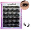MOMOLASH Cluster Eyelash Extensions Fluffy Lash Clusters 60D Volume Individual Lashes 320pcs Wispy Eyelash Clusters 9-16mm DIY Lash Extension at Home