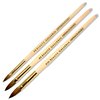 Beaute Galleria 3 Pieces Kolinsky Sable Oval Acrylic Nail Art Brush Set, Manicure Detail Painting Nail Art Pen (Size 4, 8, 10)