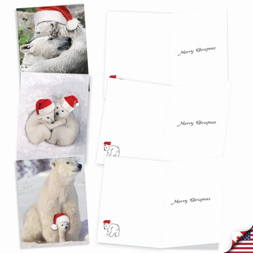The Best Card Company Variety Pack of 10 Christmas Greeting Cards with Envelopes, Humor Holiday Assortment for Men and Women (10 Designs, 1 Each) - Bear Hugs AM6327XSG-B1x10