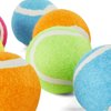Leaps & Bounds Tennis Balls in Bucket Dog Toy, Medium, Pack of 10