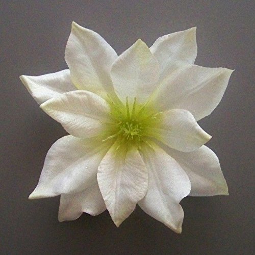 Medium Clematis Artificial Flower Hair Clip/Pin Brooch (Cream Green)