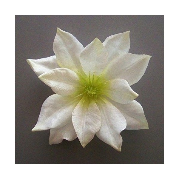 Medium Clematis Artificial Flower Hair Clip/Pin Brooch (Cream Green)