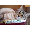 KittyWeed’s Big Fatty Catnip Cat Toy - One of the Most Potent Catnip Toys on the Market!