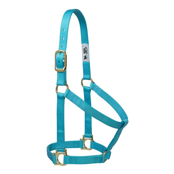 Weaver Leather Basic Non-Adjustable Nylon Horse Halter, Turquoise, 1" Average Horse