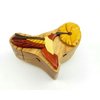 Hummingbird & Flower - All Natural Wood Intarsia Puzzle Box - Handcrafted with Secret Compartment