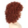 Topcosplay Womens Short Curly Wigs for Black Women Afro Kinky Curls Synthetic Wig for African American Women (Auburn Brown)
