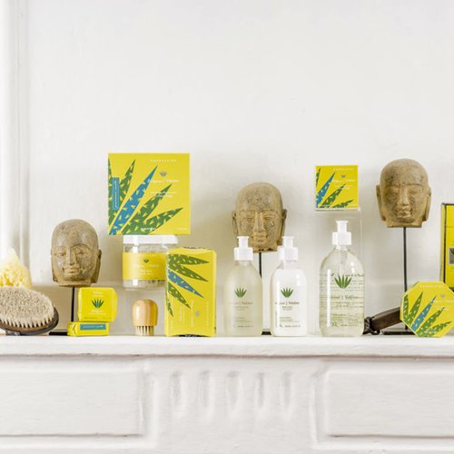 Provence Sante Shower Gel - Cleansing & Deep Nourishing Body Wash Extra Hydrating Dry, Rough Sensitive Skin Cleanses & Moisturizes 10.2 Oz (Vetiver)