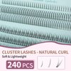 Individual Lashes 240 Clusters Eyelashes Extensions 3 Types Natural Fairy Manga Lashes 6-11mm Mixed Lashes Clusters DIY at Home (A Type & Fishtail & Bottom Lashes)