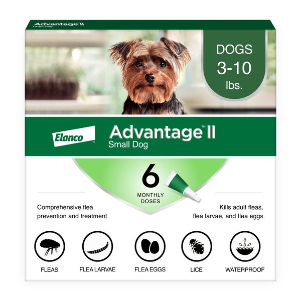 Advantage II Small Dog Vet-Recommended Flea Treatment & Prevention | Dogs 3-10 lbs. | 6-Month Supply