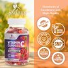 Sugar Free Vitamin C Gummies - Immune Support & Antioxidant Vitamin Dietary Supplement - Vegan, Non-GMO, Dairy & Gluten Free C Gummy Vitamins - Raspberry Flavor for Kids & Adults - 60 Count Gummies