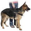 DT Universal No Pull Dog Harness, On Duty, Black, Medium, Fits Girth Size: 26-Inch to 32-Inch