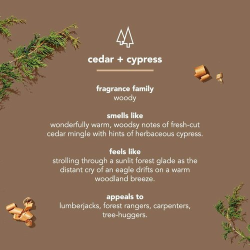 Method Men Body Wash, Cedar + Cypress, Paraben and Phthalate Free, 18 fl oz (Pack of 1)