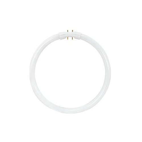 Sylvania 20712 - FPC22/835 Circular T5 Fluorescent Tube Light Bulb