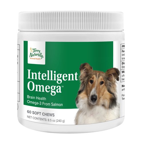 Terry Naturally Animal Health Intelligent Omega - 60 Soft Chews - Omega 3 from Salmon for Dogs - Promotes Brain & Eye Health - 60 Servings