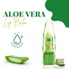 BioRLX Aloe Vera Lip Balm (Twelve Lip Balms)