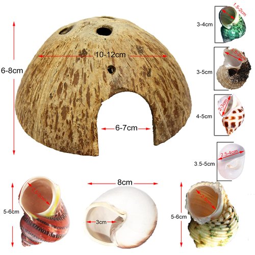 Hermit Crab Shell Growth Seashells 15 PCS (7 Types) Natural Coconut Shells Hut for Fish Tank Decor Hide Reptile Hideouts