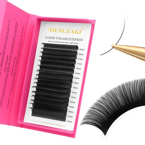 Eyelash Extensions 0.05mm Thickness Cashmere Lash Extension Volume Lash Extensions D Curl Lashes Mix 10-17mm Matte Black Volume Lashes Soft Lash Trays Professional Use(0.05-D,10-17mm)