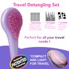 Michel Mercier Detangling Brush Set [NEW PASTEL COLLECTION] - Wet Dry Detangling Brush Kit For Long Short Hair - Great Detangler Brush For Kids Too! - Full And Travel Size Brush Included (Fine Hair)