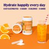 Ultima Replenisher Daily Electrolyte Drink Mix – Orange, 90 Servings – Hydration Powder with 6 Key Electrolytes & Trace Minerals – Keto Friendly, Vegan, Non- GMO & Sugar-Free Electrolyte Powder